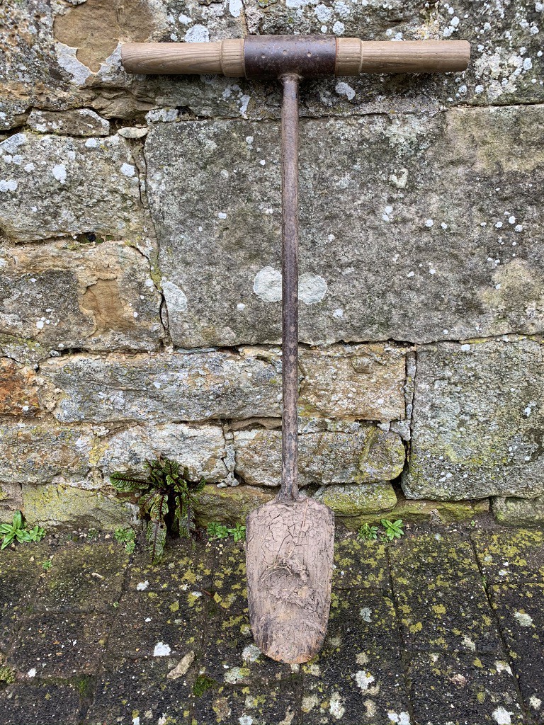A traditional tree spade